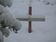 On April 30th, snow - only in Colorado!