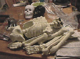 starting skeleton